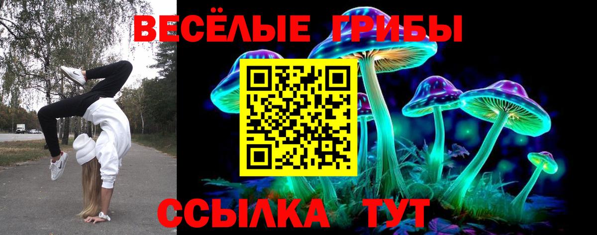 Сухой Лог  Галлюциногенные грибы Psilocybine cubensis  Вход с VPN 
