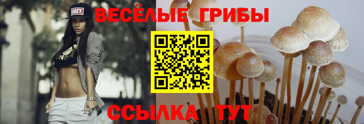 Галлюциногенные грибы мицелий Сухой Лог